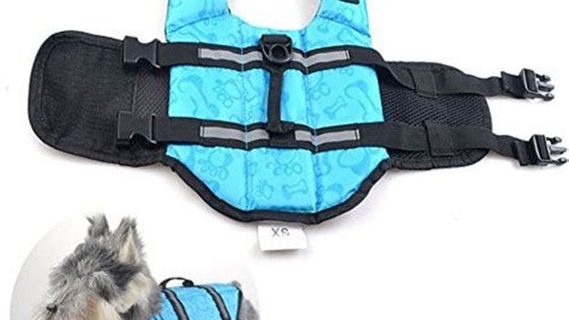 螺杆冷水机：揭秘十大品牌参数背后的秘密