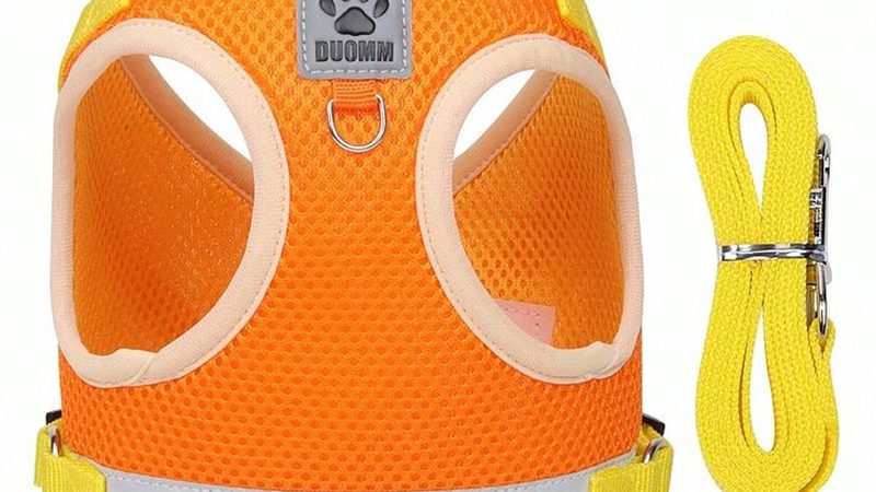 模块化风冷制冷机组安装：关键步骤与注意事项**
